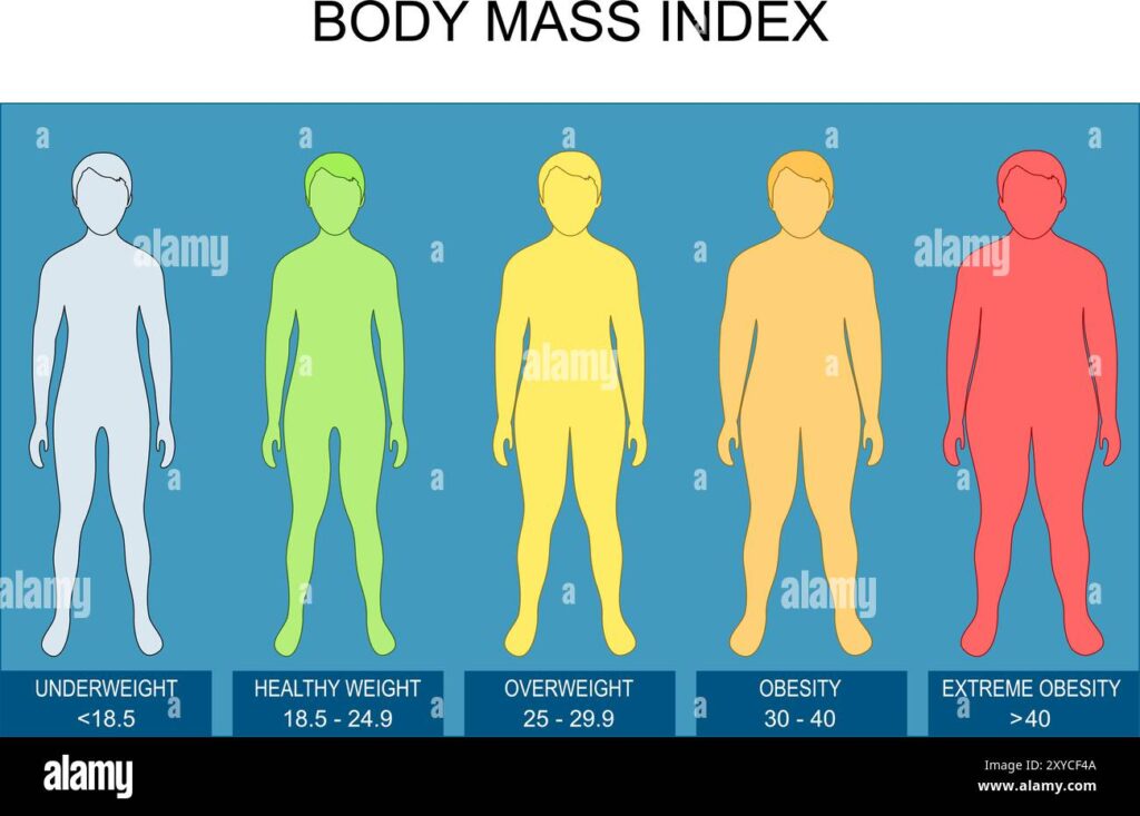 body mass index bmi calculation height and weight vector poster isometric flat illustration schematic diagram 2xycf4a