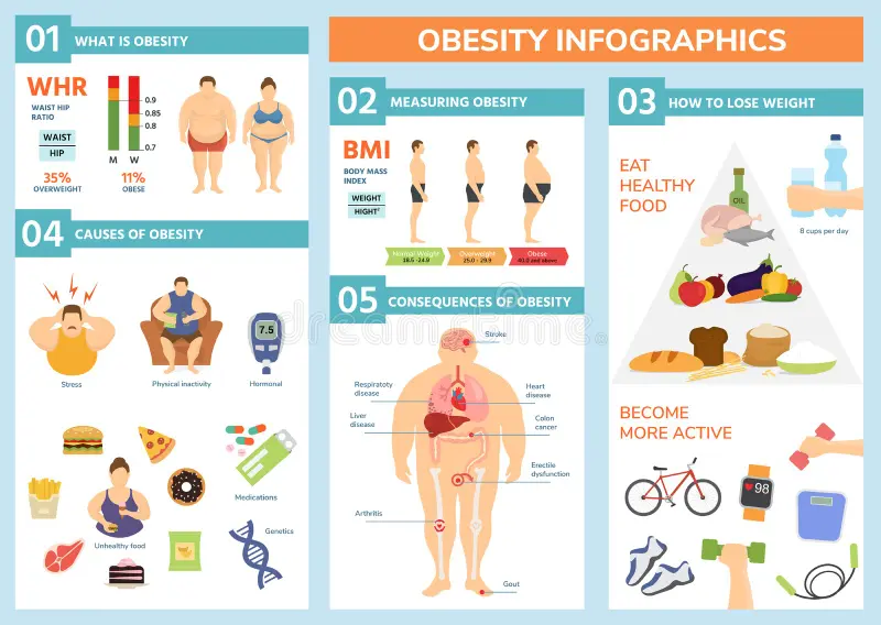 obesity weight loss fat people health problems infographic healthy elements exercise good food vector illustration 101283392