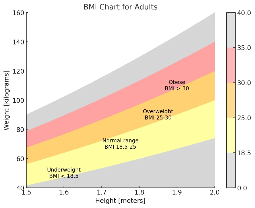BMI Calculator with Age: How Age Affects Your BMI Results (2026) bmi chart for adults