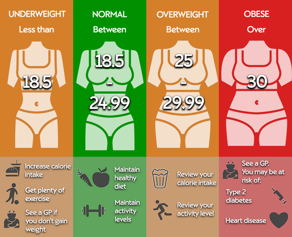 bmi chart v2