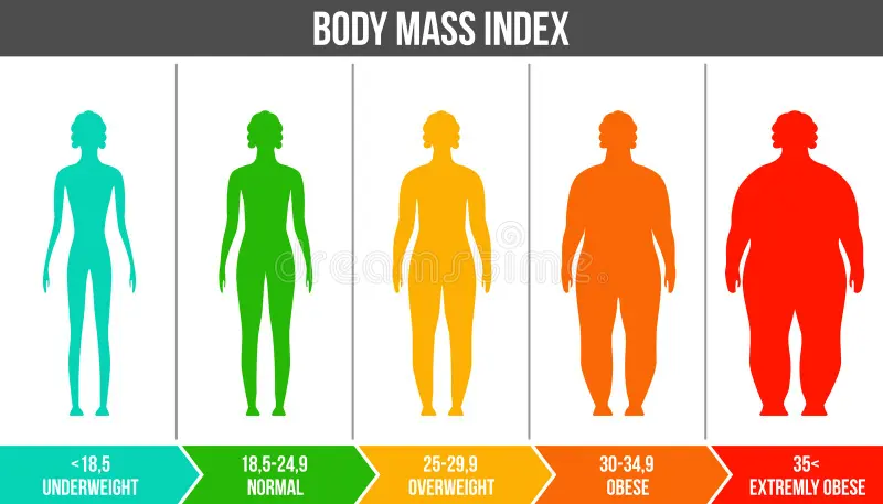creative vector illustration bmi body mass index infographic chart silhouettes scale isolated transparent 131524404